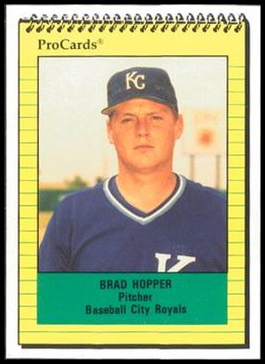1393 Brad Hopper